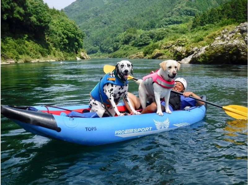 [Shikoku Yoshino River] Your beloved dog is also a member of the family! Rafting experience together Kochi Family Course Free photo gift!の紹介画像