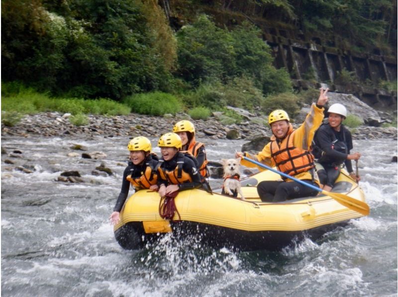 [Shikoku Yoshino River] Your beloved dog is also a member of the family! Rafting experience together Kochi Family Course Free photo gift!の紹介画像