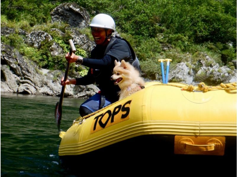 [Shikoku Yoshino River] Your beloved dog is also a member of the family! Rafting experience together Kochi Family Course Free photo gift!の紹介画像