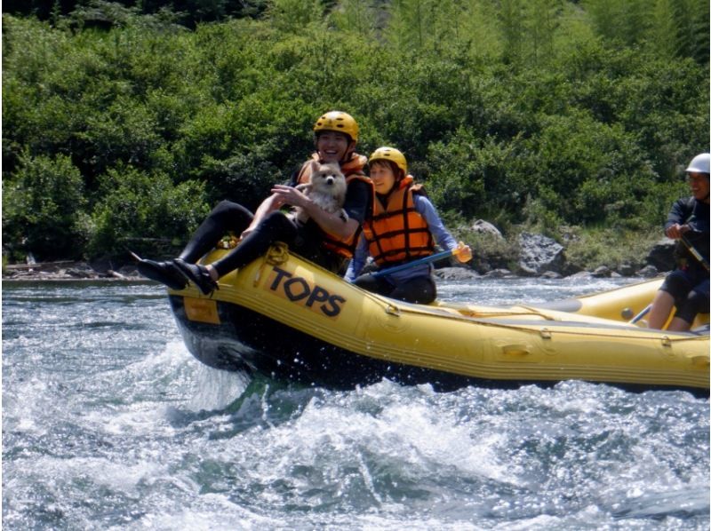 [Shikoku Yoshino River] Your beloved dog is also a member of the family! Rafting experience together Kochi Family Course Free photo gift!の紹介画像