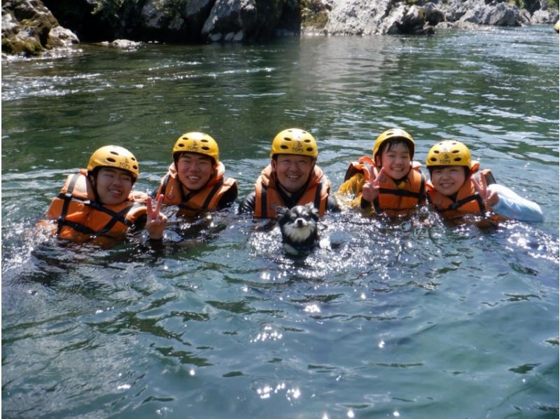 [Shikoku Yoshino River] Your beloved dog is also a member of the family! Rafting experience together Kochi Family Course Free photo gift!の紹介画像