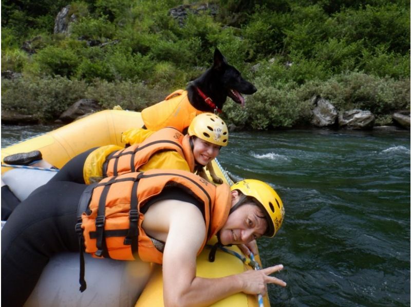 [Shikoku Yoshino River] Your beloved dog is also a member of the family! Rafting experience together Kochi Family Course Free photo gift!の紹介画像