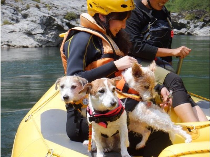 [Shikoku Yoshino River] Your beloved dog is also a member of the family! Rafting experience together Kochi Family Course Free photo gift!の紹介画像