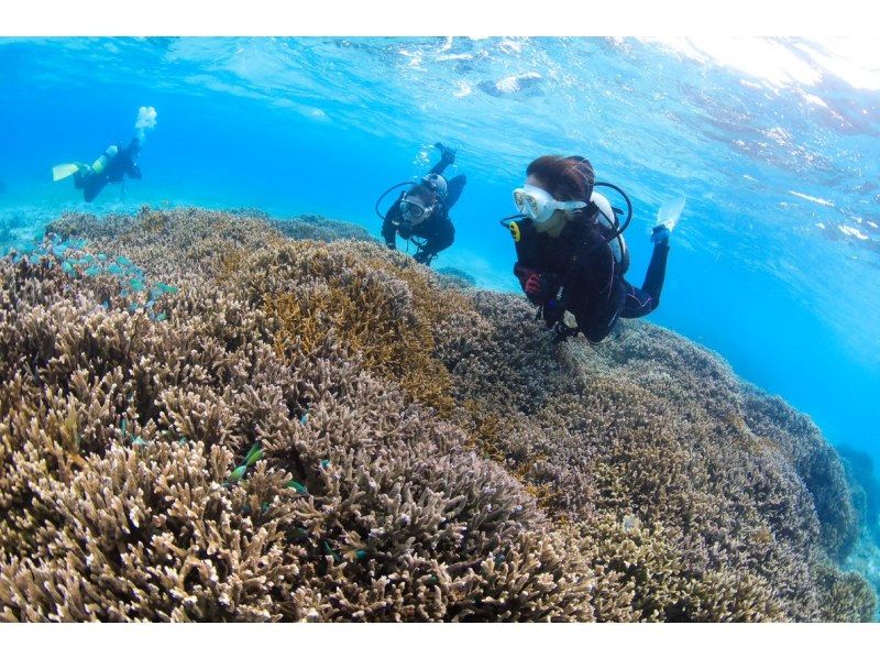 【沖縄・宮古島】【1組貸切】Insta360 Ace Pro2写真＆動画プレゼント!!絶景ビーチで体験ダイビング！３時間コース（２ダイブ）の紹介画像