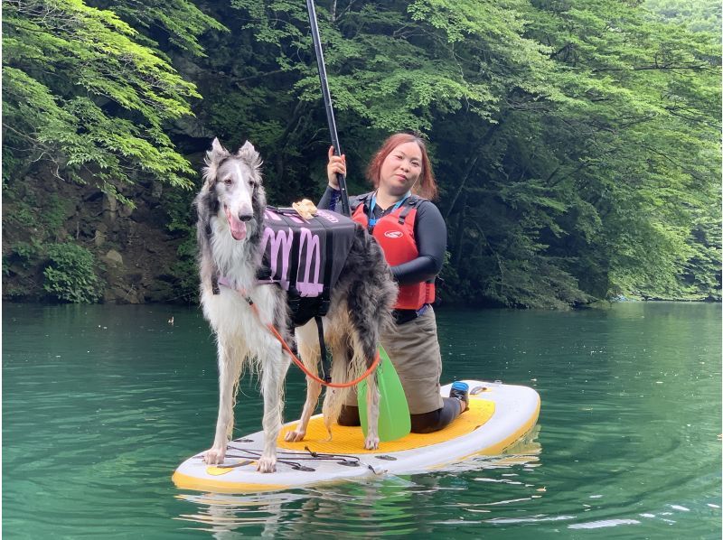 [Tochigi / Nasu] Itamuro Dam Lake SUP Experience Tour (SUP: Nasu Area)の紹介画像