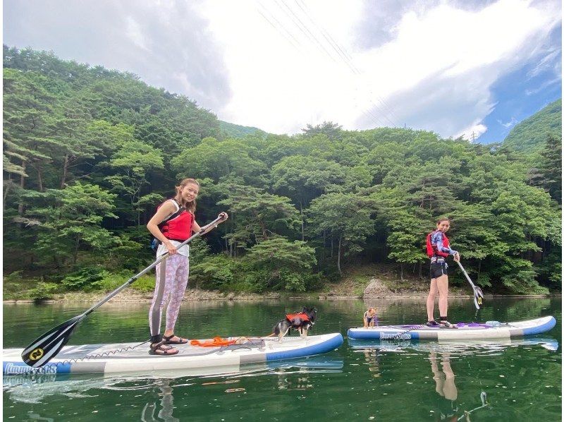 [Tochigi / Nasu] Itamuro Dam Lake SUP Experience Tour (SUP: Nasu Area)の紹介画像