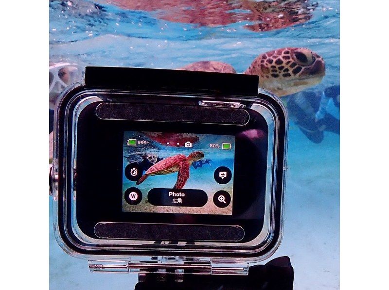 【遭遇率99％！初心者歓迎】不安ゼロで楽しめる！感動ウミガメシュノーケル！写真データは全て無料プレゼント！！の紹介画像