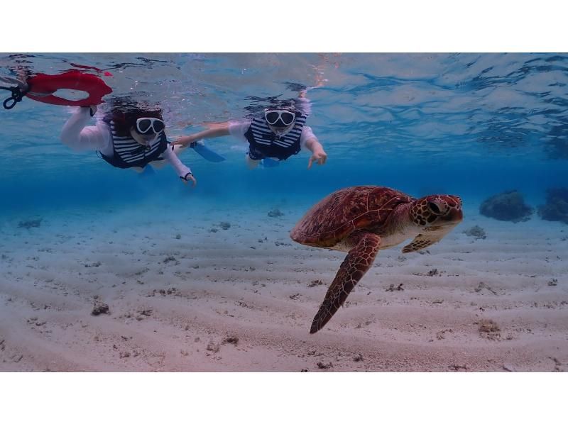 【遭遇率99％！初心者歓迎】不安ゼロで楽しめる！感動ウミガメシュノーケル！写真データは全て無料プレゼント！！の紹介画像
