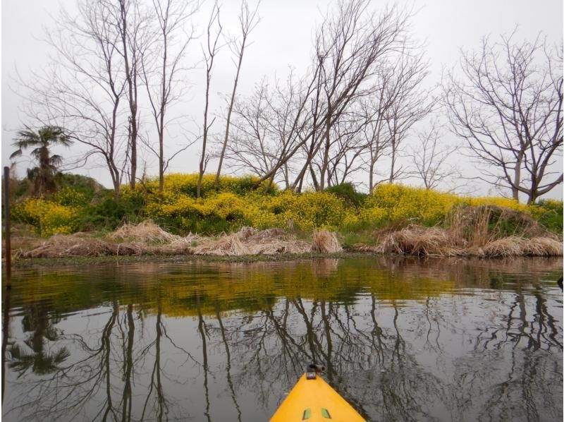 【利根川／埼玉 群馬／関東】一面の菜の花畑☆お花見サイクリング&パックラフトカヌー ゆるやか川下り体験　☆4月上旬は桜も ◎東京〜日帰りも有の紹介画像