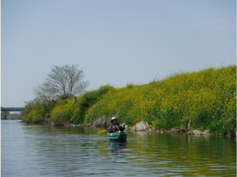 【利根川／埼玉 群馬／関東】一面の菜の花畑☆お花見サイクリング&パックラフトカヌー ゆるやか川下り体験　☆4月上旬は桜も ◎東京〜日帰りも有の紹介画像