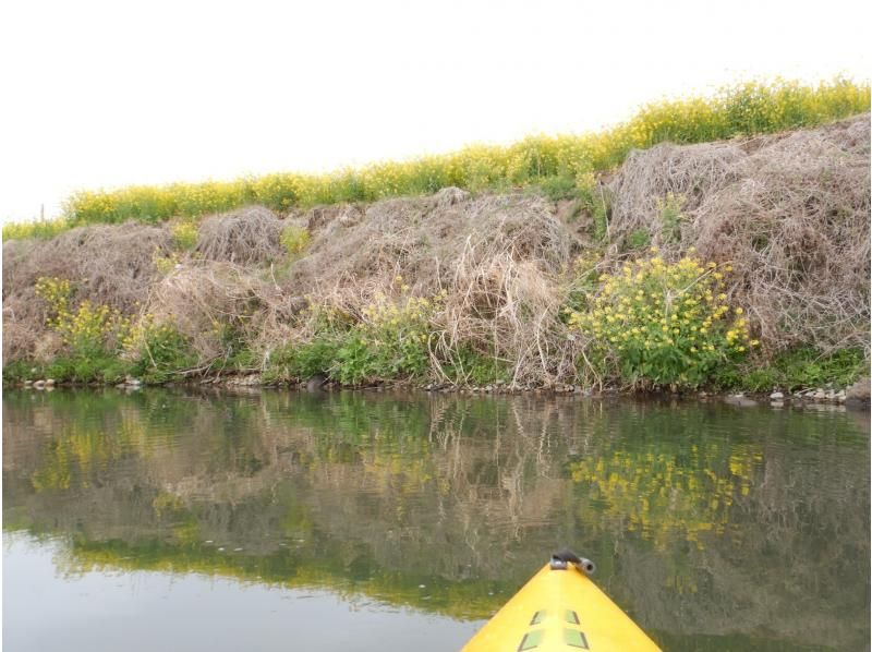 【利根川／埼玉 群馬／関東】一面の菜の花畑☆お花見サイクリング&パックラフトカヌー ゆるやか川下り体験　☆4月上旬は桜も ◎東京〜日帰りも有の紹介画像