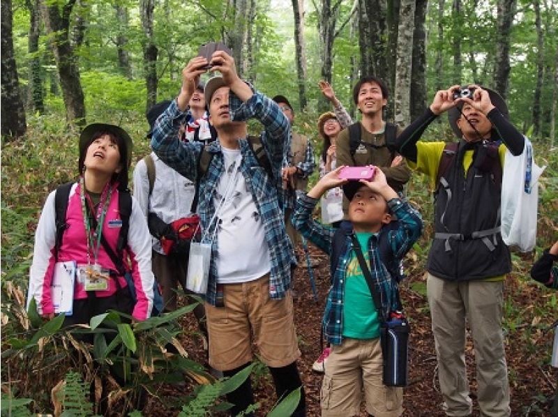 Kanto Hiking: A hidden tour recommended for beginners Gunma, Numata City, Tamahara Plateau, Kanto's leading beech forest Participants photographing woodpeckers Forest Lab LLC