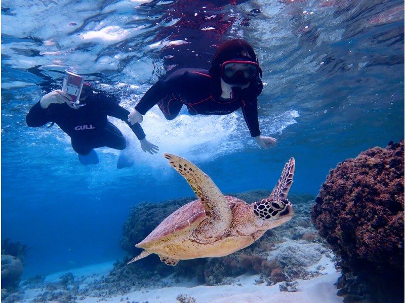 [Okinawa / Miyakojima] The popular sea turtle is so close !? Photo data present with nice pick-up ♪ Sea turtle enjoyment tour ♪の紹介画像