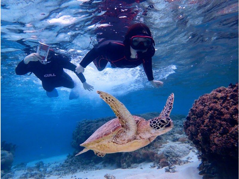 【沖縄・宮古島】大人気ウミガメがこんな近くで!？嬉しい送迎付きで写真データプレゼント♪ウミガメ満喫ツアー♪の紹介画像