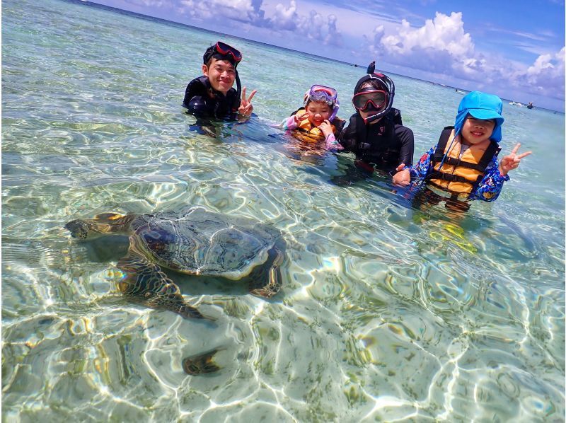 【沖縄・宮古島】大人気ウミガメがこんな近くで!？嬉しい送迎付きで写真データプレゼント♪ウミガメ満喫ツアー♪の紹介画像