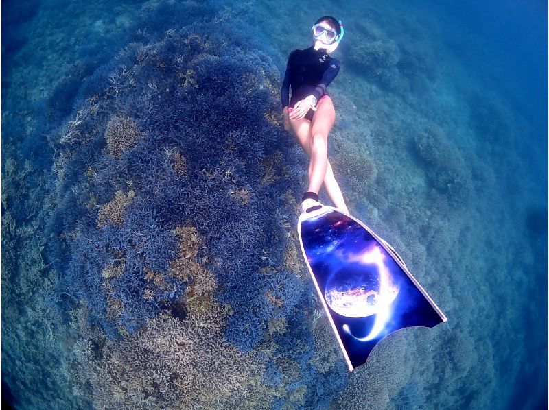 【アクティビティジャパン特別価格】幻の島上陸+ウミガメスキンダイビング+体験ダイビング１日ツアー　ランチ付の紹介画像