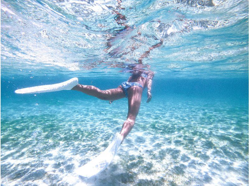 มิยาโกะจิมะ "อัตราการพบเจอ 100% ยังคงอยู่" [ดำน้ำตื้นชมเต่าทะเลและปลาการ์ตูน] ไม่มีค่าใช้จ่ายเพิ่มเติม ★ รับประกันคืนเงินเต็มจำนวน ★ เหมาะสำหรับเด็กอายุ 1 ปีขึ้นไป! เช่าอุปกรณ์และถ่ายรูปฟรีไม่จำกัด! มาได้เลยโดยไม่ต้องเตรียมอะไรมาの紹介画像