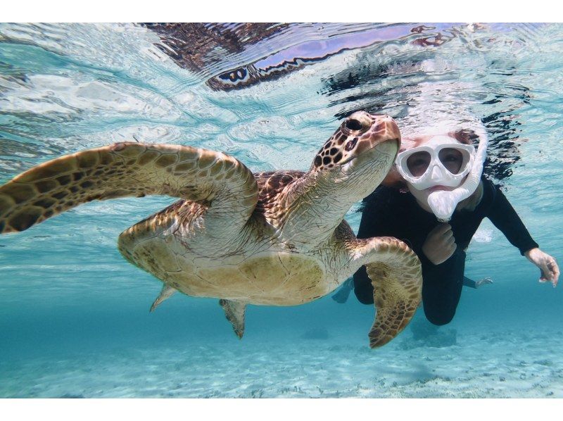 มิยาโกะจิมะ "อัตราการพบเจอ 100% ยังคงอยู่" [ดำน้ำตื้นชมเต่าทะเลและปลาการ์ตูน] ไม่มีค่าใช้จ่ายเพิ่มเติม ★ รับประกันคืนเงินเต็มจำนวน ★ เหมาะสำหรับเด็กอายุ 1 ปีขึ้นไป! เช่าอุปกรณ์และถ่ายรูปฟรีไม่จำกัด! มาได้เลยโดยไม่ต้องเตรียมอะไรมาの紹介画像