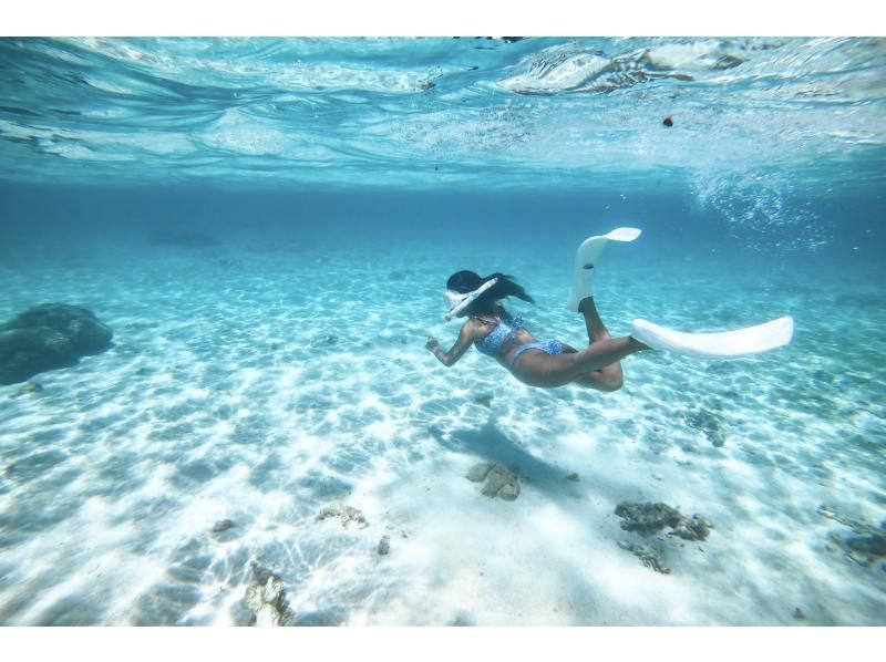 มิยาโกะจิมะ "อัตราการพบเจอ 100% ยังคงอยู่" [ดำน้ำตื้นชมเต่าทะเลและปลาการ์ตูน] ไม่มีค่าใช้จ่ายเพิ่มเติม ★ รับประกันคืนเงินเต็มจำนวน ★ เหมาะสำหรับเด็กอายุ 1 ปีขึ้นไป! เช่าอุปกรณ์และถ่ายรูปฟรีไม่จำกัด! มาได้เลยโดยไม่ต้องเตรียมอะไรมาの紹介画像