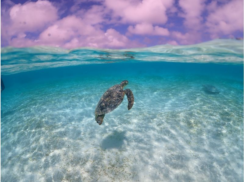 【沖縄・宮古島】1組だけの貸切ツアー！ウミガメと一緒に泳ぐビーチシュノーケリング！撮影データプレゼント！