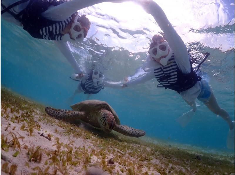 [Okinawa/Miyakojima] Private tour for only one group ☆ Encounter rate 100% updated! Beach snorkeling swimming with sea turtles! Shooting data present!の紹介画像
