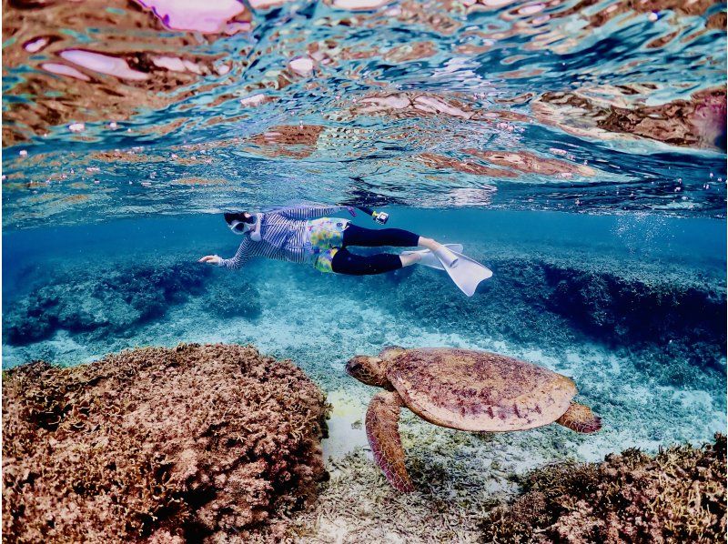 [Private, one-group reservation system] Encounter rate is currently at 100%! Beach snorkeling where you can swim with sea turtles! Free high-quality photo data is available as a gift!の紹介画像