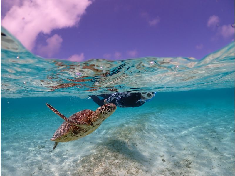 [Okinawa Miyakojima] Sea turtle snorkeling & SUP cruising charter private tourの紹介画像