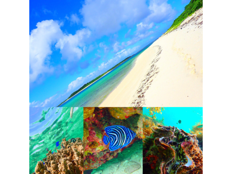 [Okinawa Iriomote Island] paradise of the southern country! Panari Island Yachting Snorkeling(half-day course)