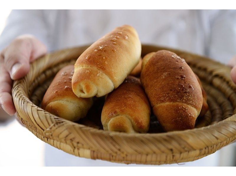 670-671【熊本・天草】絶景！天草五橋クルージングの紹介画像