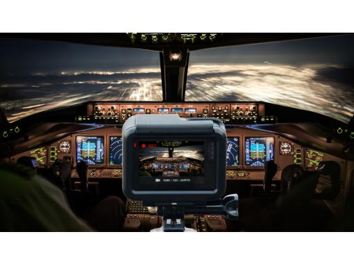 30 Minute Flight Simulator Experience