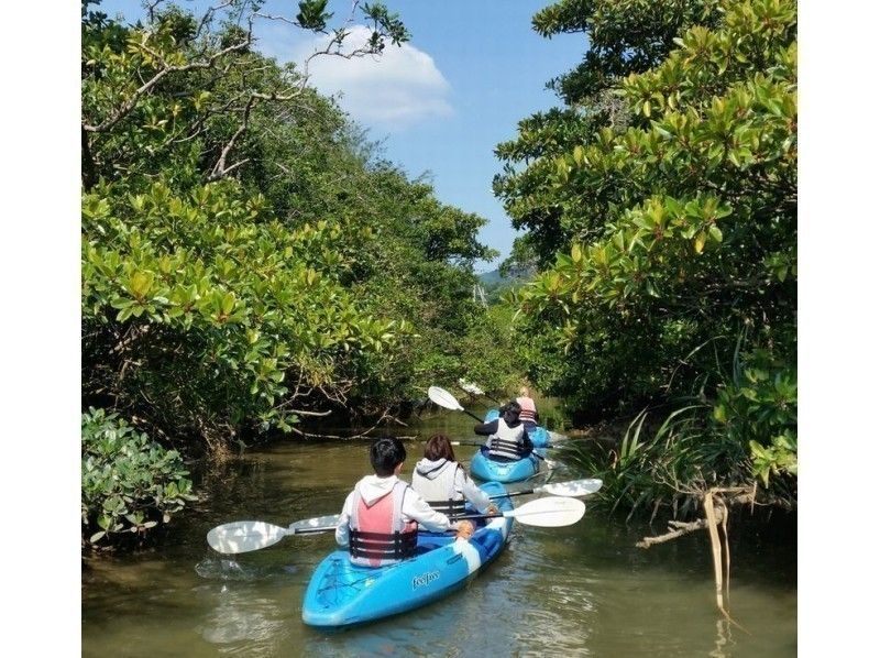 [Kourijima，Haji内陆海域海域]海上皮艇红树林之旅（一个香蕉船服务）の紹介画像