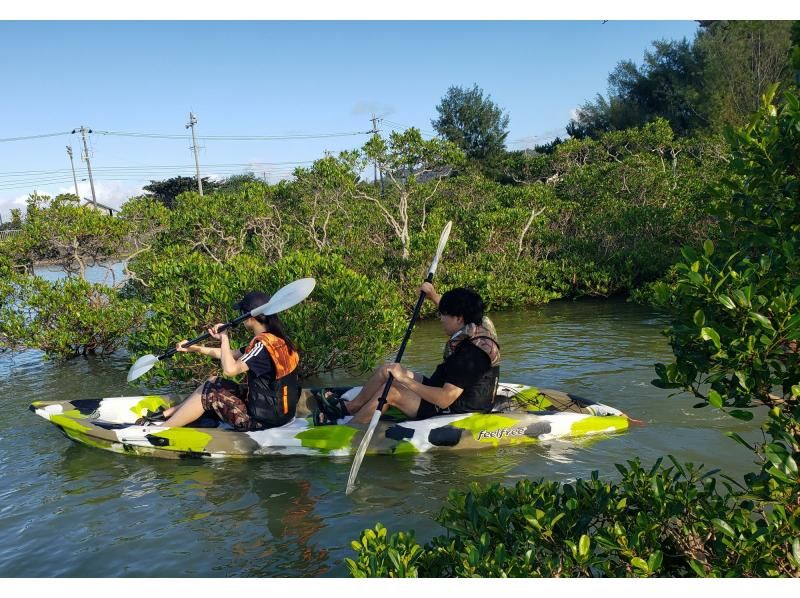 [Kourijima，Haji内陆海域海域]海上皮艇红树林之旅（一个香蕉船服务）の紹介画像