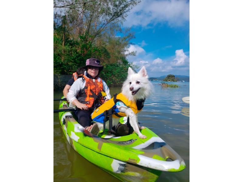 [Kourijima，Haji内陆海域海域]海上皮艇红树林之旅（一个香蕉船服务）の紹介画像