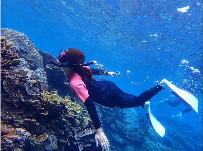 [Okinawa / Miyakojima] With a nice transfer! Abundant points ♪ Let's go to see a lot of tropical fish and coral with peace of mind even for beginners ♪ Snorkel tour ♪の紹介画像