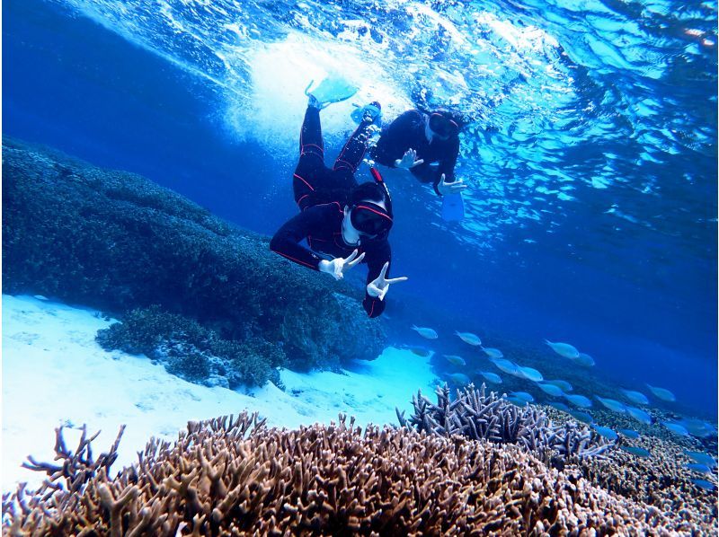 [Okinawa / Miyakojima] With a nice transfer! Abundant points ♪ Let's go to see a lot of tropical fish and coral with peace of mind even for beginners ♪ Snorkel tour ♪の紹介画像