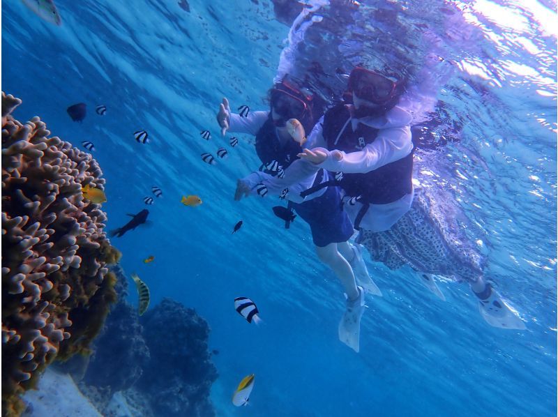 [Okinawa / Miyakojima] With a nice transfer! Abundant points ♪ Let's go to see a lot of tropical fish and coral with peace of mind even for beginners ♪ Snorkel tour ♪の紹介画像