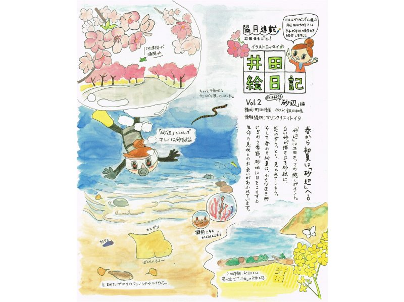 【静岡・伊豆／井田】送迎付き　ファンダイブガイドパック（2ダイブ）の紹介画像