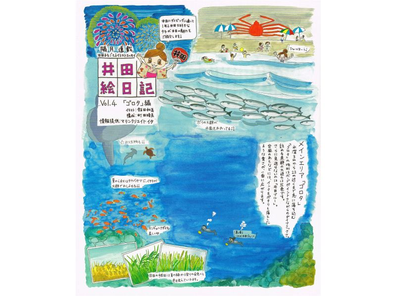 【静岡・伊豆／井田】送迎付き　ファンダイブガイドパック（2ダイブ）の紹介画像