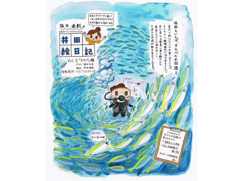 【静岡・伊豆／井田】送迎付き　ファンダイブガイドパック（2ダイブ）の紹介画像
