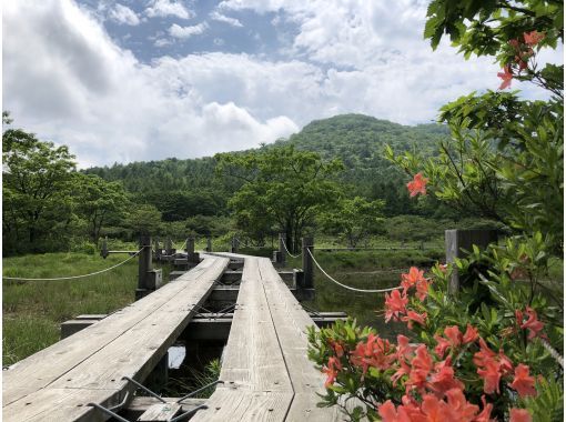 栃木・那須】日光国立公園「沼ッ原バードハイク」～天上の鳥見さんぽ