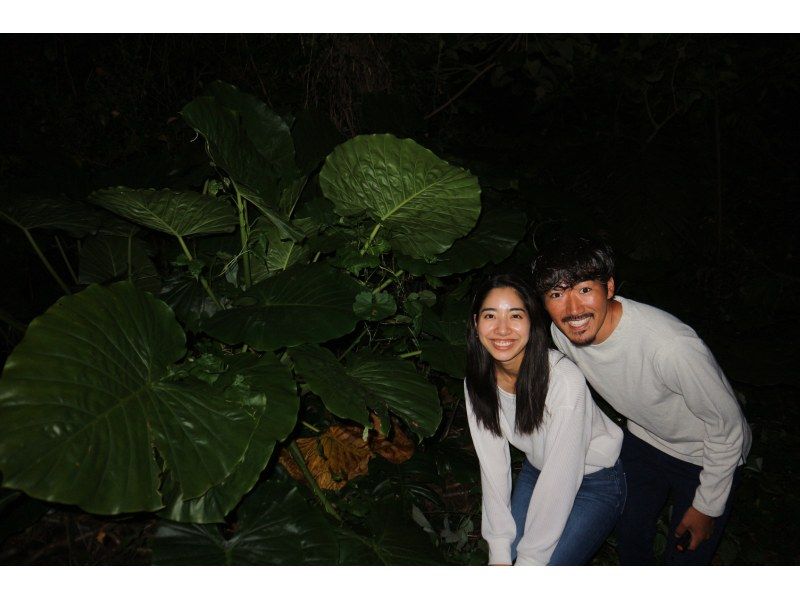 [Miyakojima] Night jungle exploration under the stars! Night Safari Tour! If you don't see any coconut crabs, you'll get a refund! No additional fees & full refund guarantee ★ Free photo service includedの紹介画像