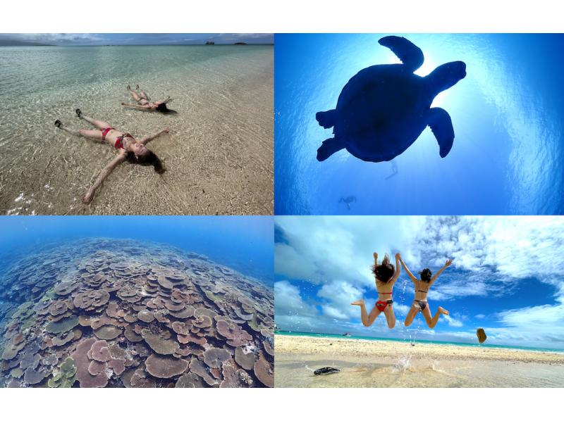 【石垣島】幻の島上陸＆ウミガメ＆サンゴWシュノーケリングB【のんびり1日コース】《GoProレンタル無料》の紹介画像