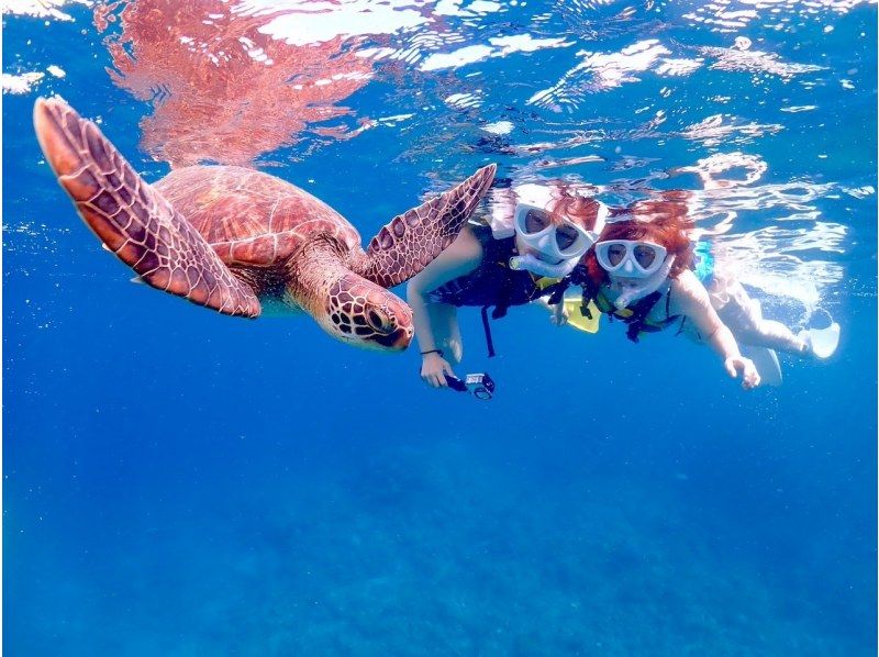 【石垣島】幻の島上陸＆ウミガメ＆サンゴWシュノーケリングB【のんびり1日コース】《GoProレンタル無料》の紹介画像