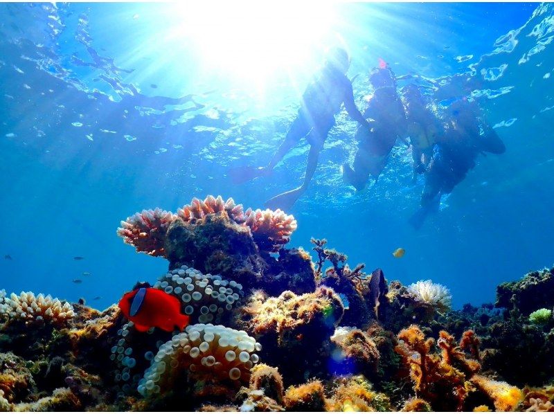 【石垣島】幻の島上陸＆ウミガメ＆サンゴWシュノーケリングB【のんびり1日コース】《GoProレンタル無料》の紹介画像