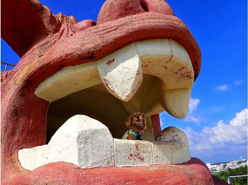 【沖縄・宮古島】送迎付！専門のガイドと楽しく島めぐり♫宮古島離島絶景島巡りツアー♪の紹介画像