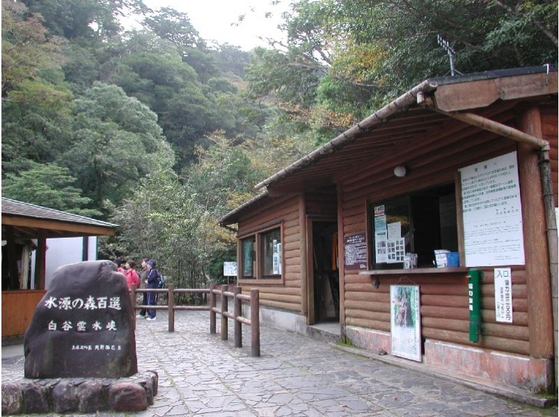 【鹿児島・屋久島】屋久島エコツアー「白谷雲水峡・もののけの森・太鼓岩」早朝出発・1日往復コース