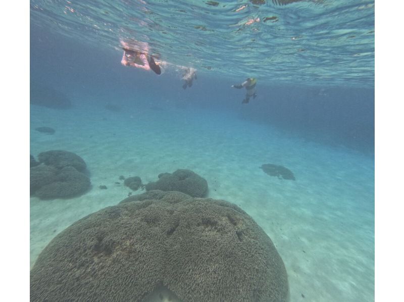 鹿児島・与論島】サンゴ礁シュノーケルツアー 〜カラフルな熱帯魚と