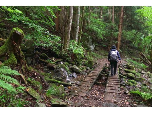 栃木 塩原 水源の山たかはら Sukkanネイチャーハイク 神秘のコバルトブルーの流れ堪能 マニアック自然観察 ミニお弁当付き アクティビティジャパン