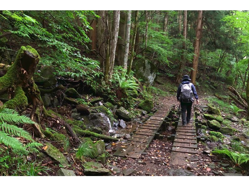 A man on a nature hike at Sukkanzawa Diorajio*