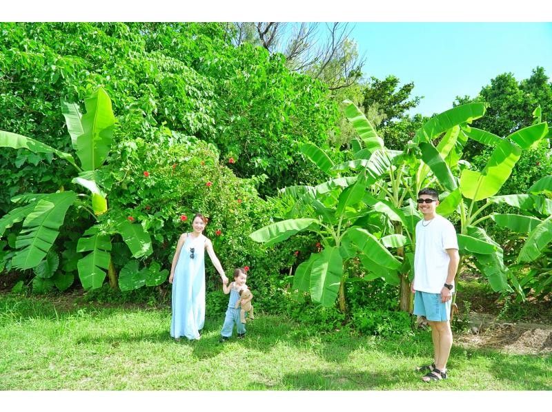 ☆当店人気№1☆定番の島旅アドベンチャーフォトツアー『観光も貸切』☆石垣ブルーの海と絶景にココロがドッキドキ！『観光も貸切』の紹介画像